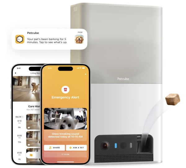 Petcube Bites 2 Lite Interactive WiFi Pet Monitoring Camera with Phone App and Treat Dispenser, 1080p HD Video, Night Vision, Two-Way Audio, Sound and Motion Alerts, Cat and Dog Monitor